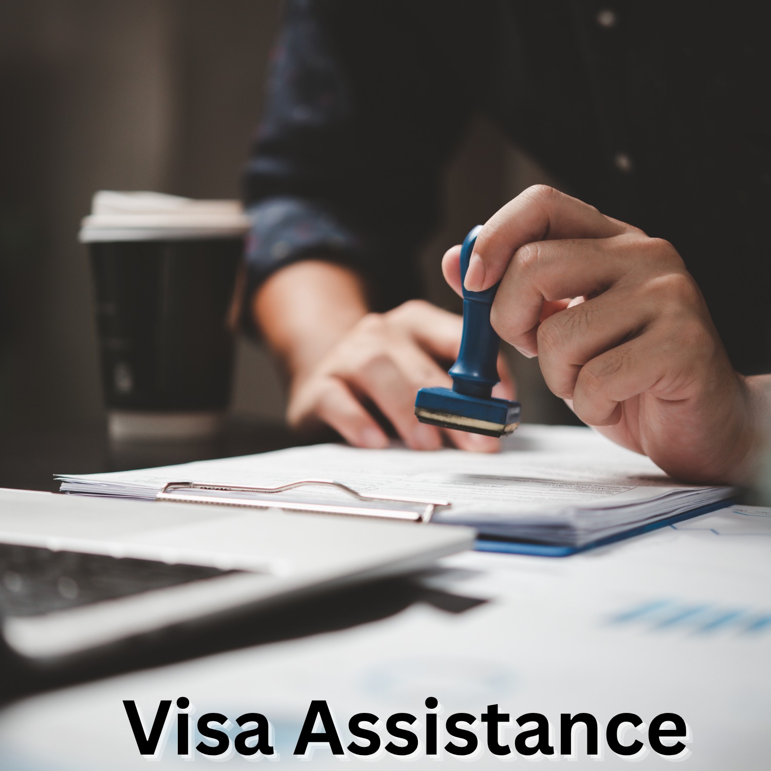 Visa Assistance