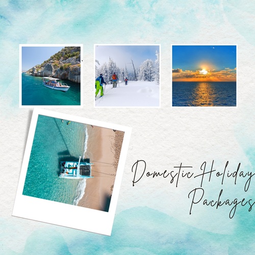 Domestic Holiday Packages